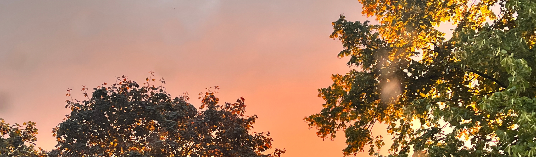 Sundown
