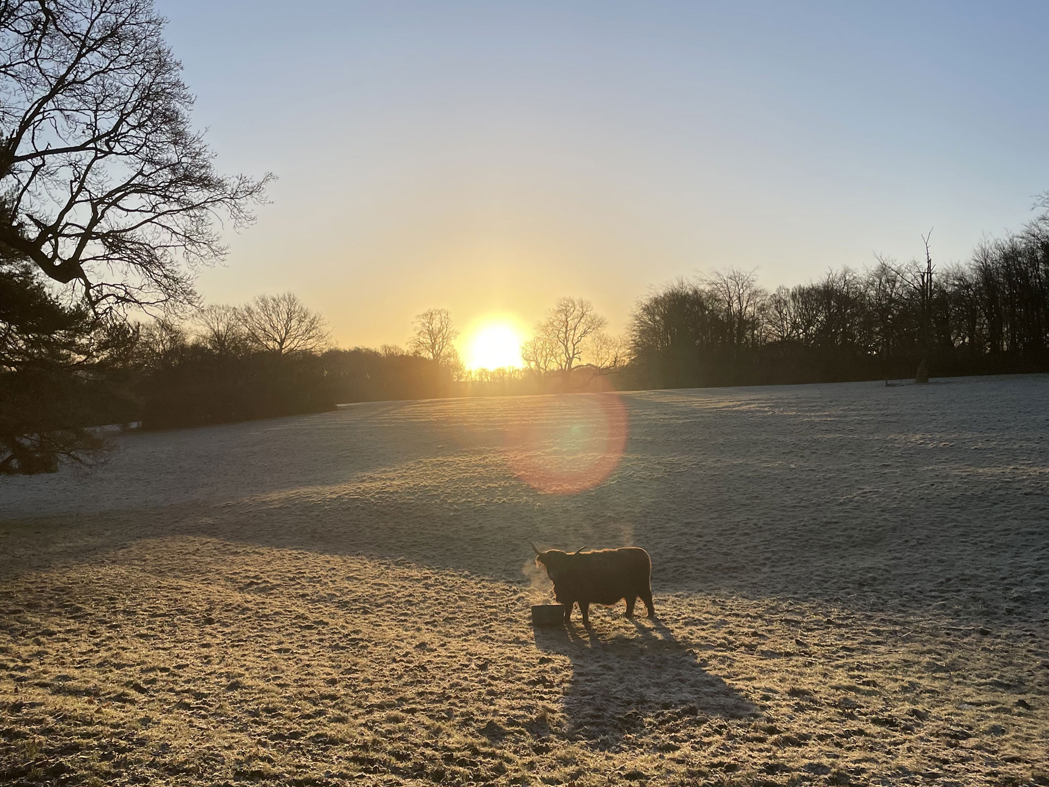 sunrise-pollock-park